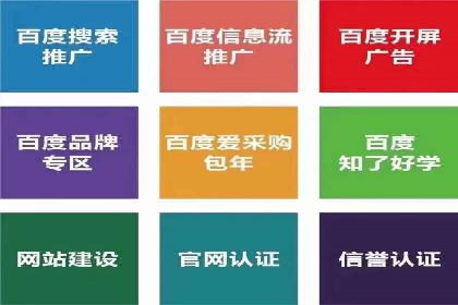 百度竞价代理全攻略：成功案例分享